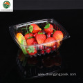 Disposable clear hinged clamshell container salad bowl